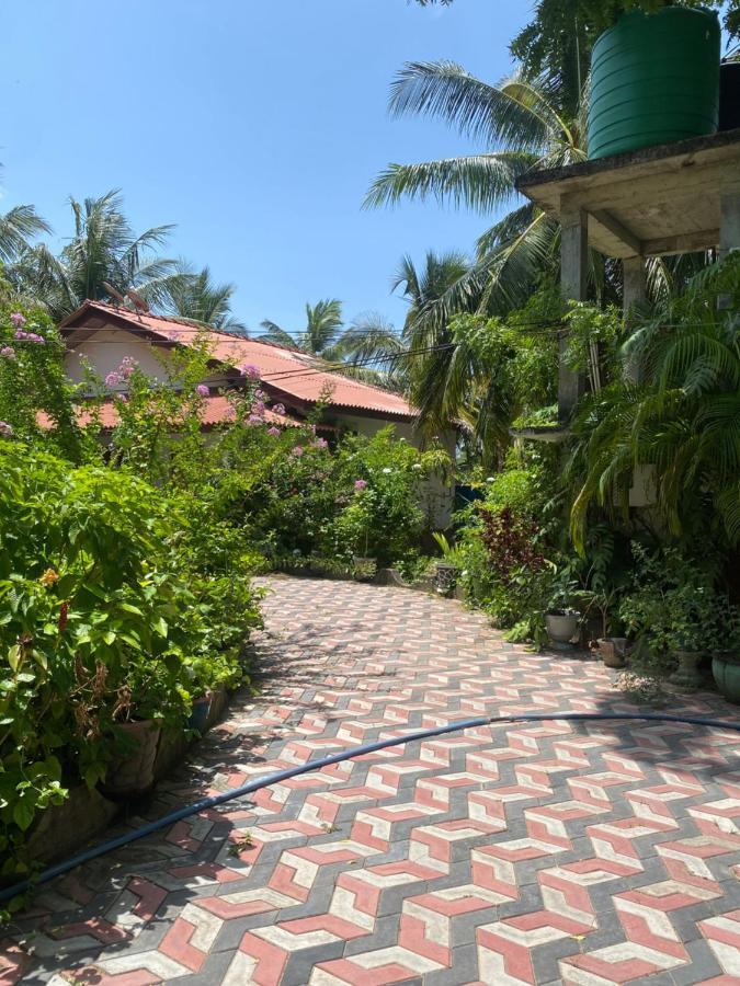 Island Breeze Inn ニラヴェリ エクステリア 写真