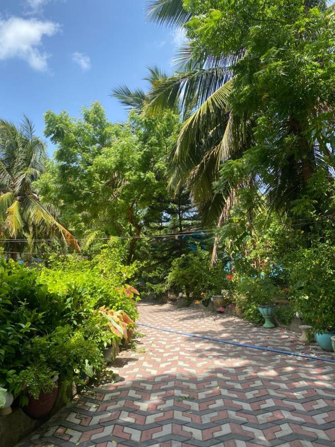 Island Breeze Inn ニラヴェリ エクステリア 写真